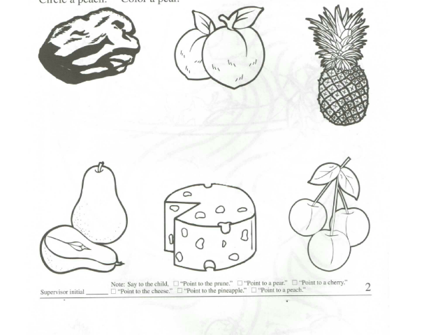 p10p2,5 by Seeds Cambodia