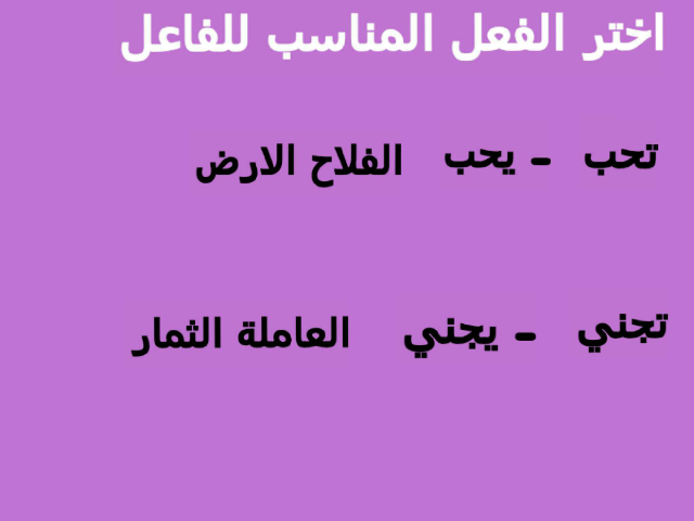 اللغة العربية by rasha ALKAMSH