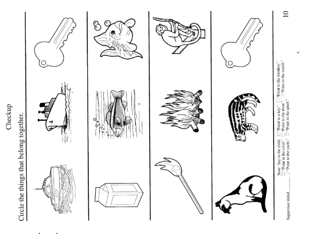 p12p10,14,15 by Seeds Cambodia