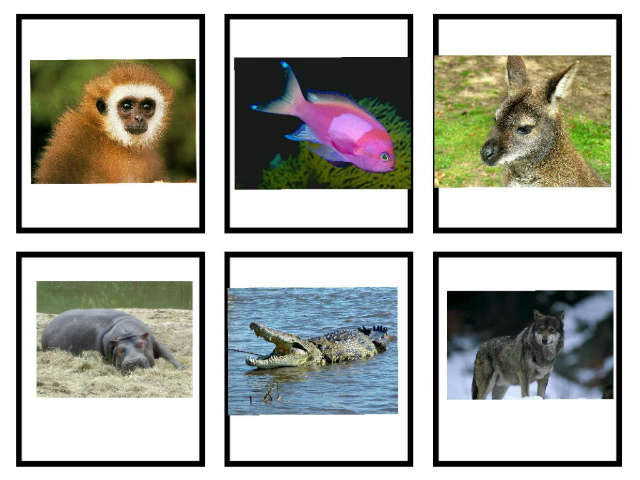 C groupe 4 by cpdlv cpdlv