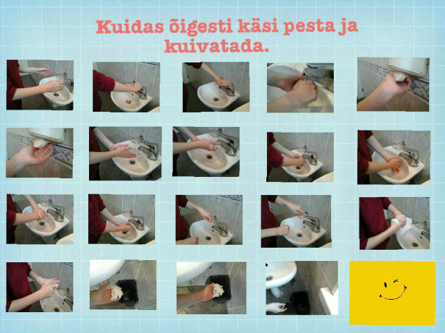 Kuidas gripist hoiduda by Tiiu Vendel