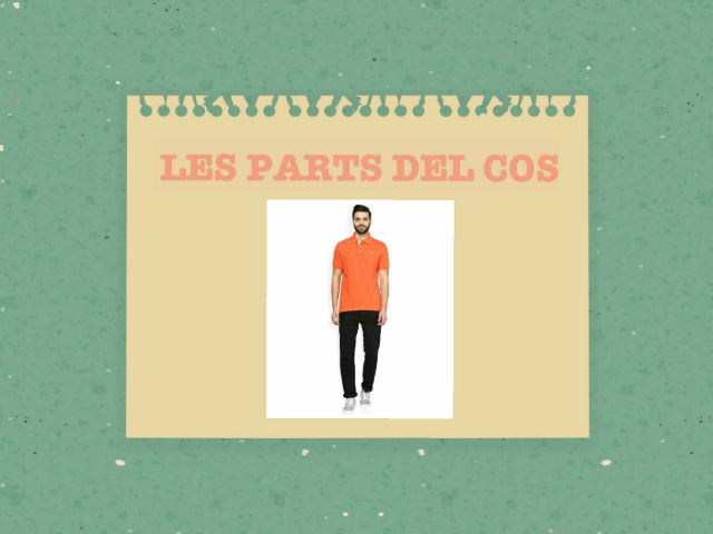Aprenem les parts del cos  by Xavi Viñas Vilella