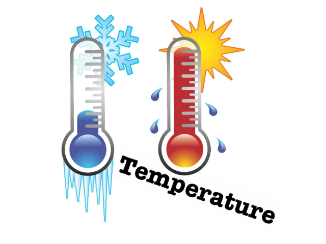 cher vs ture  by Sapir Ilanit