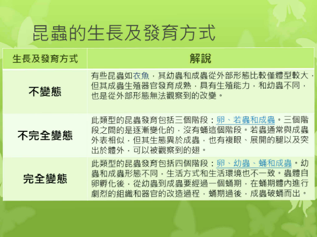 昆蟲的變態 by 2號 明志