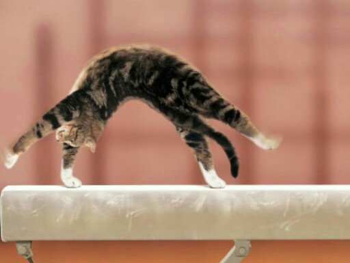 This is a fun and simple game for any age by Cierra Chase