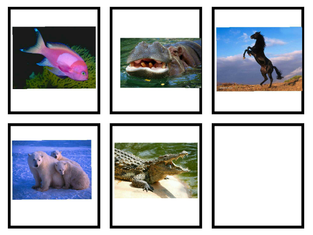 C groupe 2 by cpdlv cpdlv