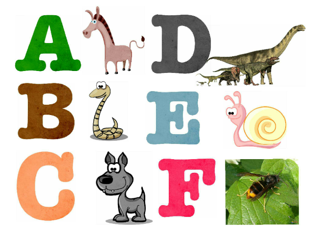 Alphabet des animaux by Classe maternelle Isabelle Ecole