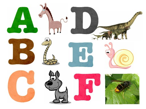 Alphabet des animaux by Classe maternelle Isabelle Ecole