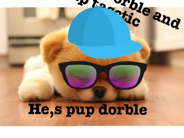 This teaches kids about adorable anima!s by hannah petton