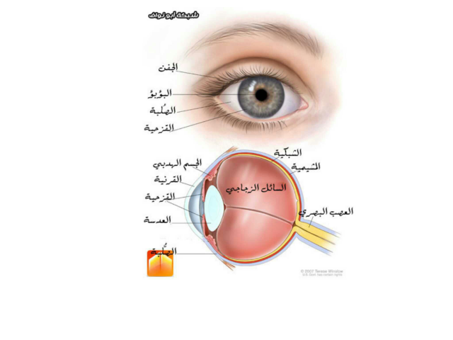 جزء هام جدا  by سعاد مشعل