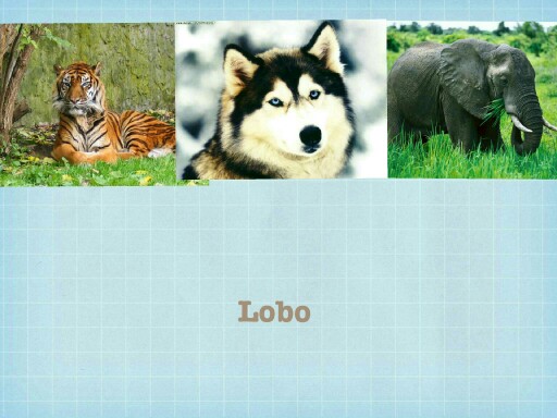 Conciencia fonológica by maria jose prado zaldivar