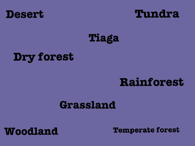 Ecosystems   by Abby Berven