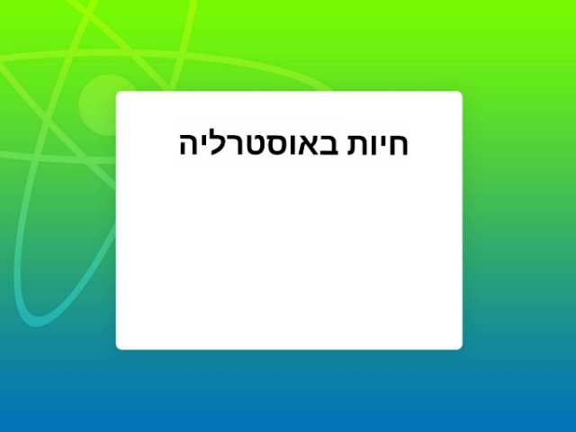חיות באוסטרליה by zev david