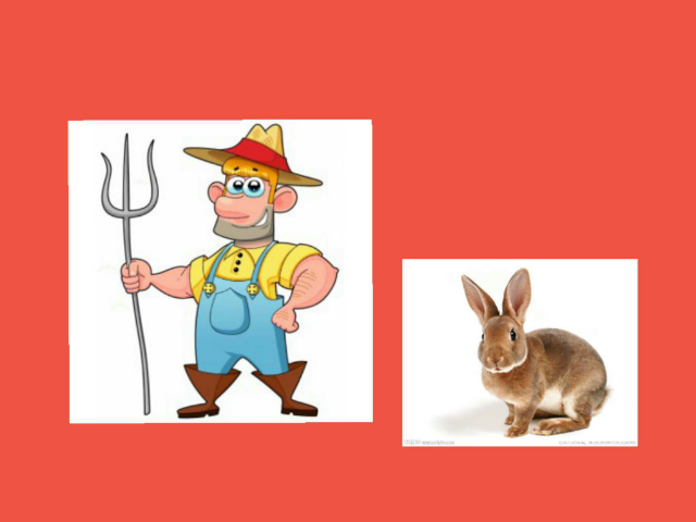 SRA Le fermier et le lapin 2 by Serge Salvat