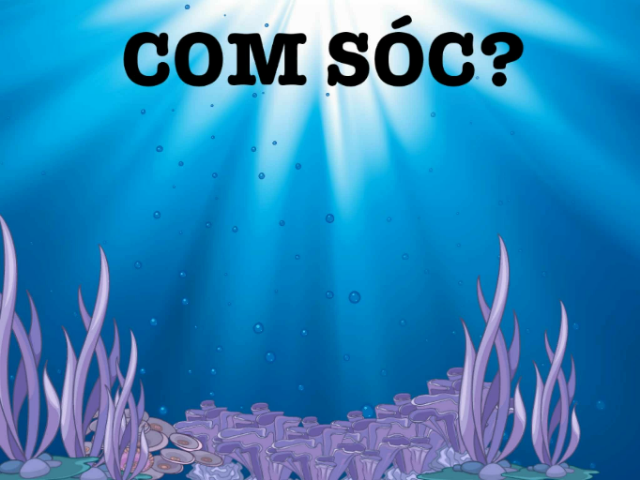 Animals marins by Balma Traver Salvador