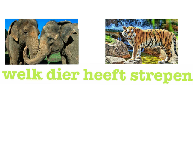 de kinder quiz by arnage van der burgh