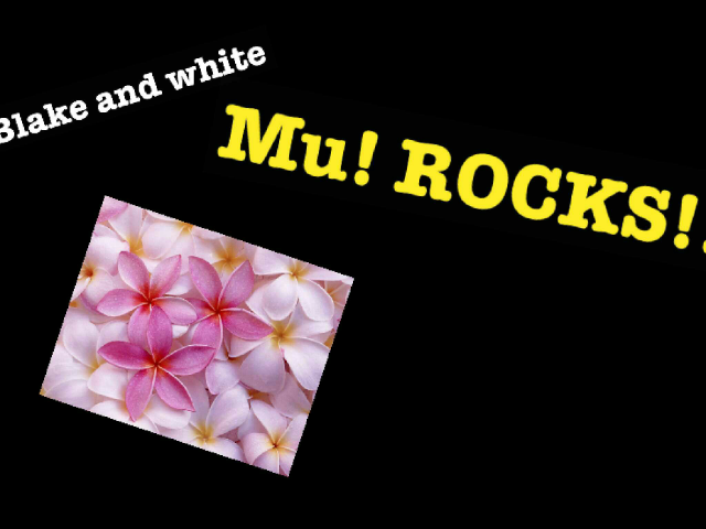 fun fun  by jaspreet kaur