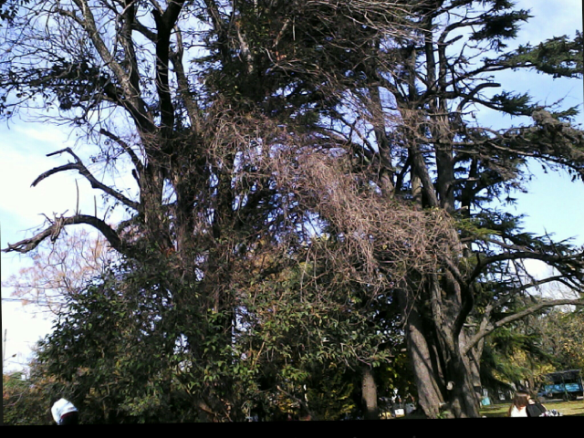 Realizar una poesía que tenga rima asonante y consonante by Mercedes Claudina