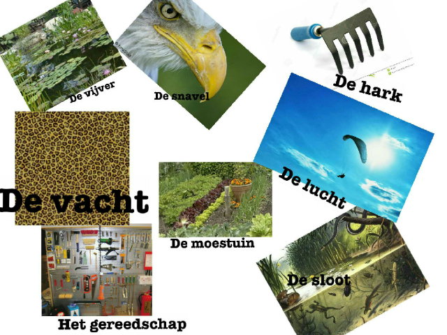 Danisha  by Susan Hendriks