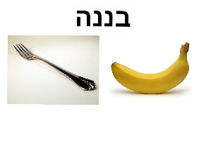 תמונה למילה מתוך 2 by nitzankehati null