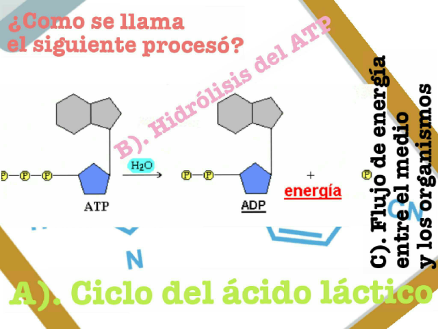 Materia  by Lili Núñez Rodriguez