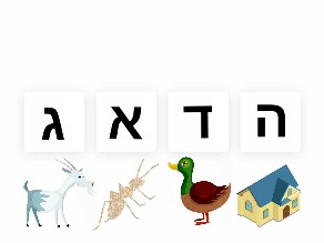 AC white 4 by Libby Lazaros