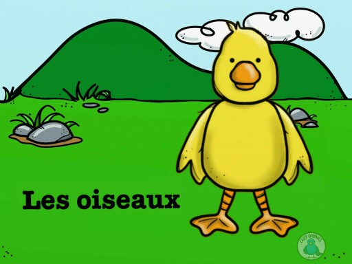 Les oiseaux by Laetitia Balva