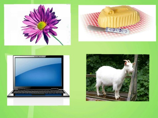 rimes : jeu des intrus by ingrid mo