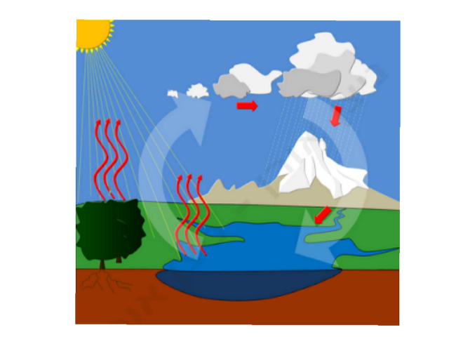 מחזור המים בטבע by Kevin.E Games