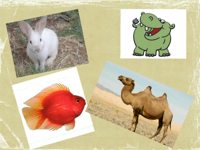 סדר אותיות לפי הא ב by הילה בייצר