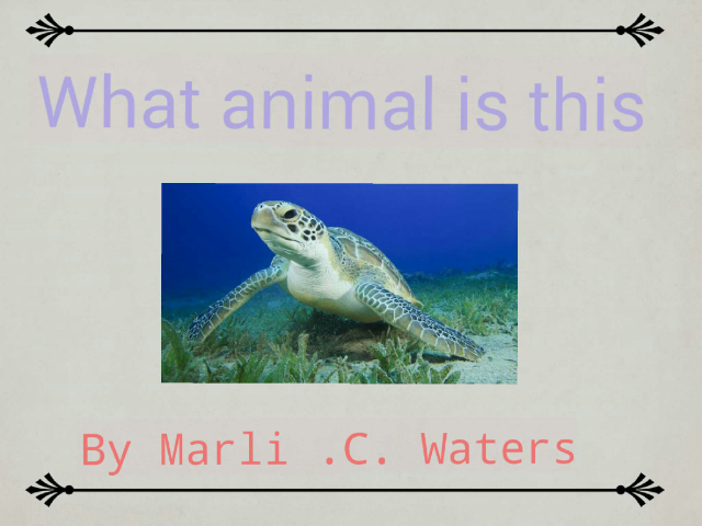 What animal is this by marli waters