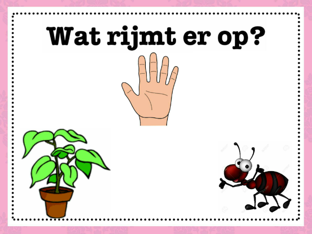 taal les lois by Claire Schaap