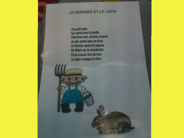 SRA Comptine le fermier  3  by Serge Salvat