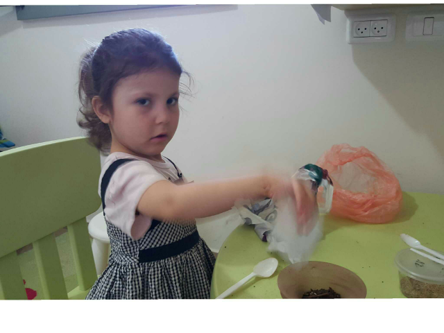 איך מכינים ראש דשא?? by הילה בחכמה