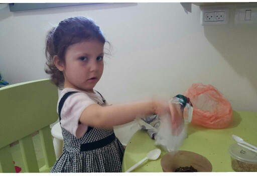 איך מכינים ראש דשא?? by הילה בחכמה