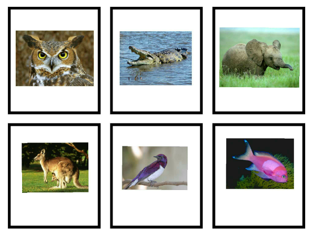 groupe exemplecm2 by cpdlv cpdlv