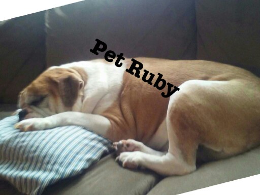 Coop's Recognition game by Blair Sugarman