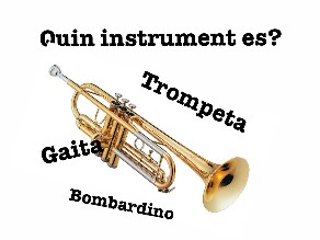 Instruments. Averigua que es.  by Francesc Josep Resurrección Pérez