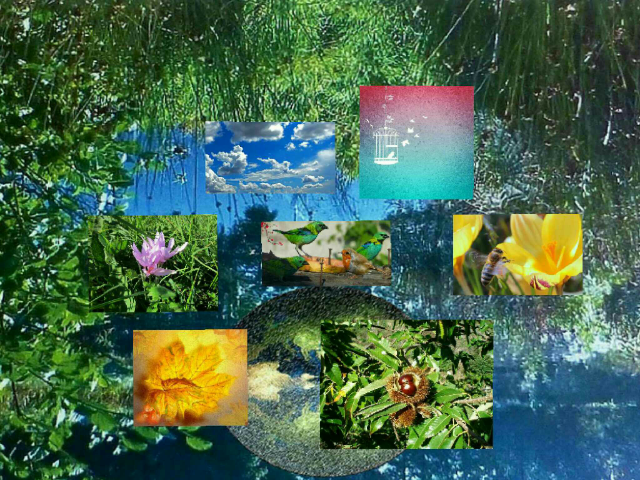 Les comptines by Classe maternelle Isabelle Ecole