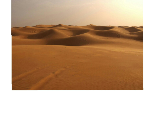 El desierto de dani by MARIA TERESA ROSERO