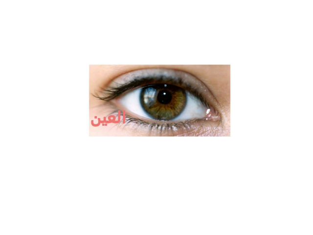 العين جزء مهم في جسم الانسان  by سعاد مشعل