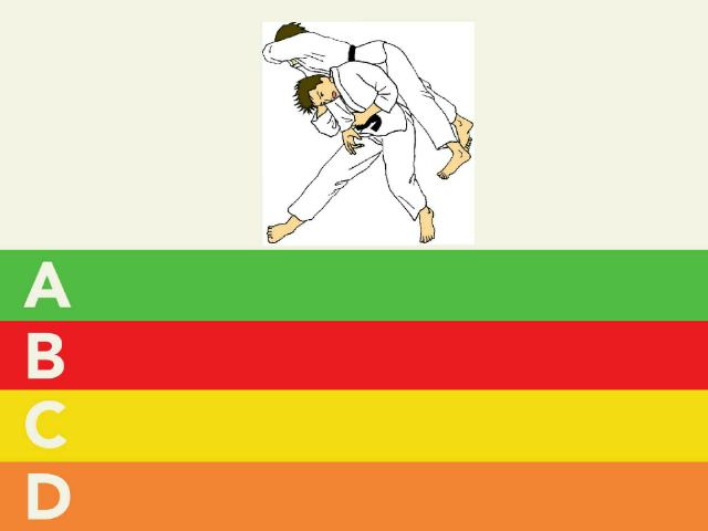 als je meer wil weten over judo moet je exht dir spelen werk top by Lieke van der Tang