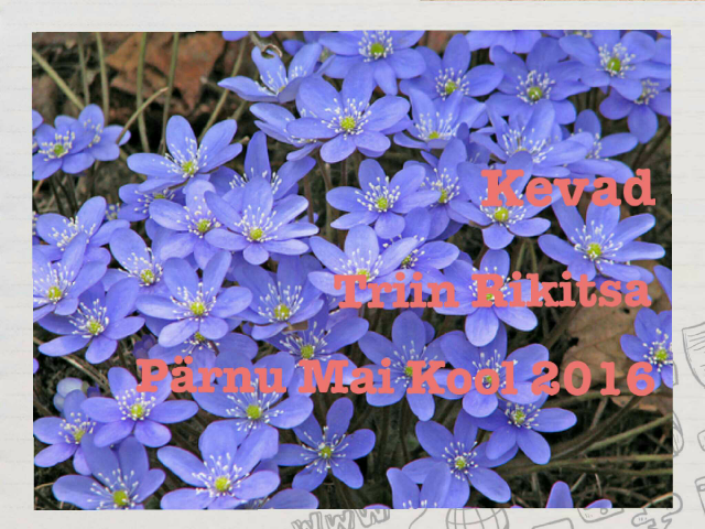 Kevade tunnused by Tiiu Vendel