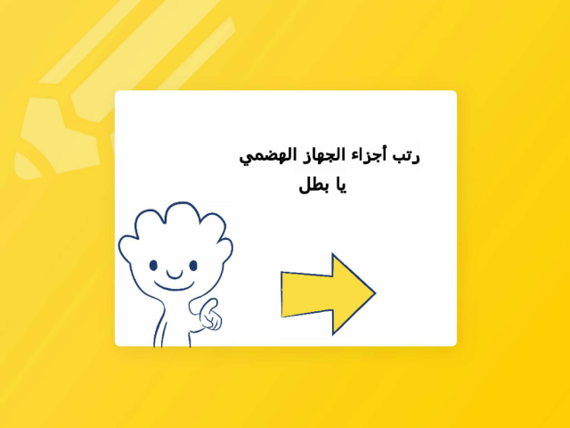 الجهاز الهضمي  by amjaad mohammed