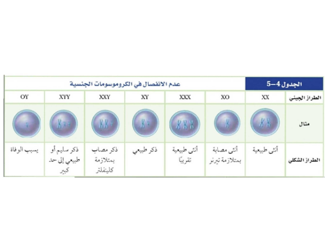 فراغ by Dana Faisal