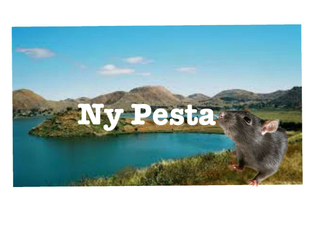 Ny pesta by TSF Alabri Miarinarivo