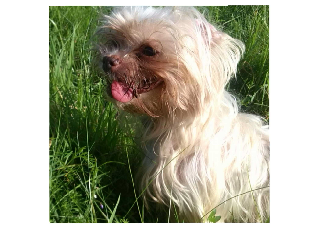 Emmas adventure by Quark Tasche