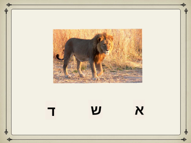 אות פותחת by noa ayali