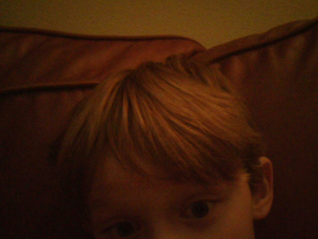 the information contained by Ryder gaines