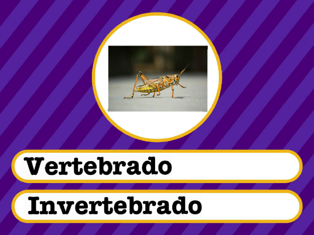 3er grado by T41carrodos Carrodos